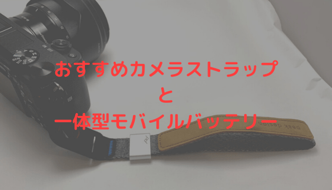 カメラアクセサリー カメラストラップ2つとコンセント一体型モバイルバッテリーレビュー おすすめ みにーもブログ